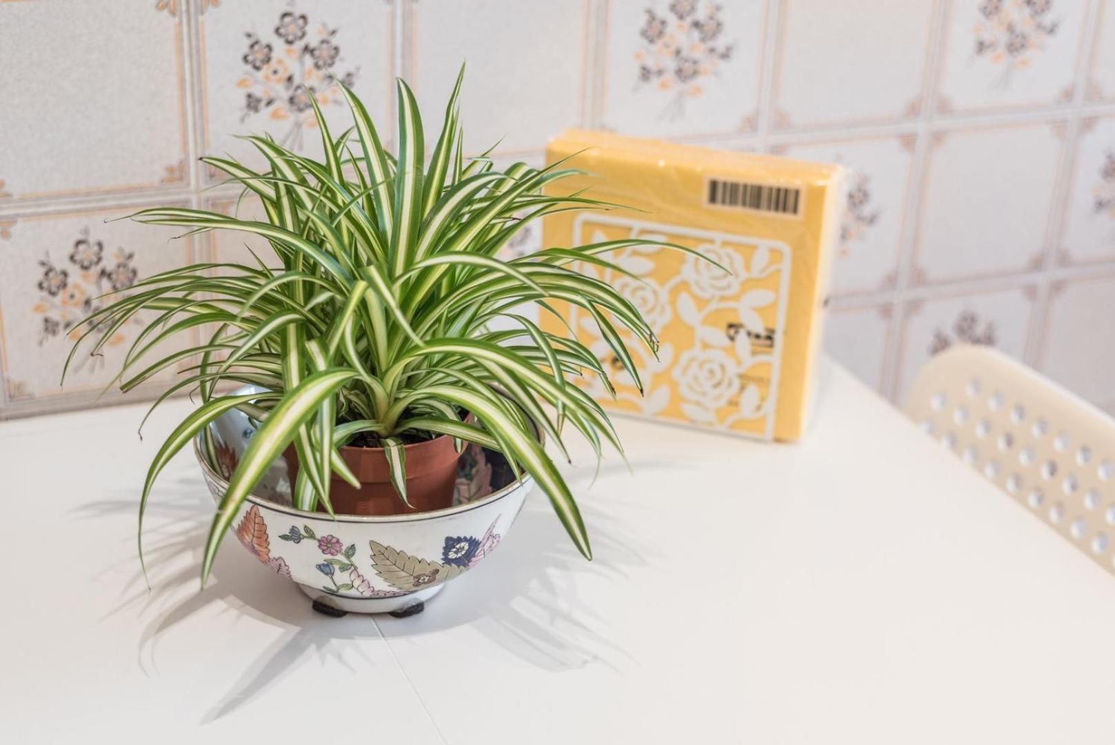 Guestready - Eclectic Haven In The Heart Of Porto Appartement Buitenkant foto